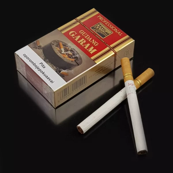 Cigarro Gudang Garam Cravo  Maco Importado